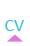 CV
